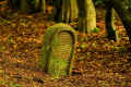 Wehen Friedhof K1600_IMG_8577.jpg (179855 Byte)