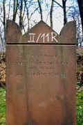 Assenheim Friedhof PICT0026A2_11R.jpg (177047 Byte)