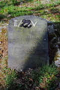 Assenheim Friedhof PICT0038A2_22V.jpg (215715 Byte)