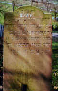 Assenheim Friedhof PICT0040A3_1V.jpg (125455 Byte)