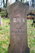 Assenheim Friedhof PICT0058A3_12R.jpg (215806 Byte)