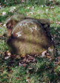 Assenheim Friedhof PICT0096A6_3V.jpg (232593 Byte)