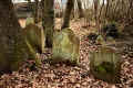 Ortenberg Friedhof 7597.jpg (237648 Byte)