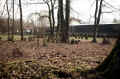 Ortenberg Friedhof 7599.jpg (518558 Byte)