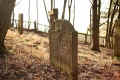 Ranstadt Friedhof IMG_7625.jpg (188235 Byte)