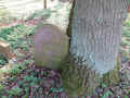 Eckartshausen Friedhof IMG_6852.jpg (214968 Byte)