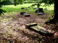 Nordeck Friedhof DSCI0571.jpg (427033 Byte)