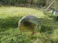 Waldeck Friedhof IMG_8618.jpg (324332 Byte)
