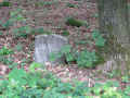 Laufenselden Friedhof 8794.jpg (266555 Byte)