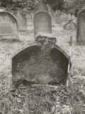 Bad Kissingen Friedhof BR 22-6.jpg (264251 Byte)