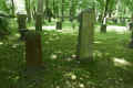 Rostock Friedhof alt P1010243.jpg (454811 Byte)