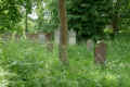 Teterow Friedhof P1010438.jpg (517341 Byte)