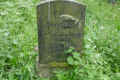 Teterow Friedhof P1010439.jpg (473216 Byte)