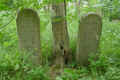 Teterow Friedhof P1010446.jpg (458794 Byte)