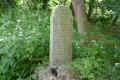 Teterow Friedhof P1010448.jpg (457496 Byte)