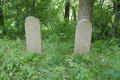 Teterow Friedhof P1010449.jpg (404387 Byte)