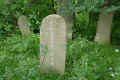 Teterow Friedhof P1010450.jpg (406466 Byte)