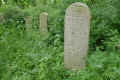 Teterow Friedhof P1010451.jpg (409119 Byte)