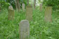 Teterow Friedhof P1010453.jpg (451519 Byte)