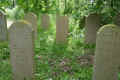 Teterow Friedhof P1010455.jpg (471531 Byte)