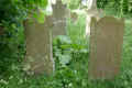 Teterow Friedhof P1010456.jpg (378725 Byte)