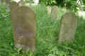 Teterow Friedhof P1010457.jpg (390741 Byte)