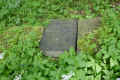 Teterow Friedhof P1010462.jpg (429515 Byte)
