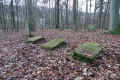 Harmuthsachsen Friedhof DSC05309.jpg (199863 Byte)