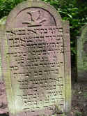 Heidelberg Friedhof Kl 108.jpg (59292 Byte)