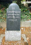 Neustadt Friedhof 110.jpg (78395 Byte)