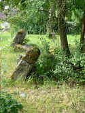 Schnaittach Friedhof a108.jpg (100267 Byte)