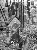 Affaltrach Friedhof 210.jpg (93695 Byte)