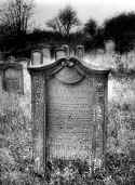 Braunsbach Friedhof 212.jpg (66633 Byte)