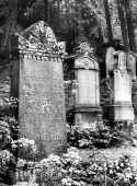 Hechingen Friedhof 245.jpg (90006 Byte)