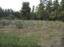 Bechhofen Friedhof 201.jpg (109947 Byte)