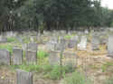 Bechhofen Friedhof 203.jpg (108578 Byte)