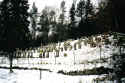 Ermreuth Friedhof 100.jpg (64852 Byte)