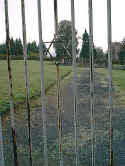 Schluechtern Friedhof n050.jpg (50421 Byte)