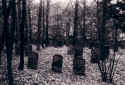 Merchingen Friedhof04.jpg (145821 Byte)