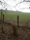 Altwiedermus Friedhof 158.jpg (109972 Byte)
