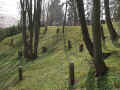 Geisa Friedhof 173.jpg (131701 Byte)