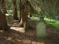 Selters Friedhof 287.jpg (108380 Byte)