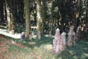 Rexingen Friedhof 150.jpg (86205 Byte)
