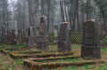 Rhens Friedhof 141.jpg (163058 Byte)
