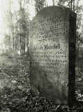 Rhens Friedhof 147.jpg (89751 Byte)