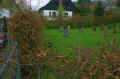 Bassenheim Friedhof 413.jpg (130723 Byte)