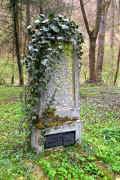 Brodenbach Friedhof 414.jpg (184760 Byte)