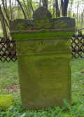 Rhaunen Friedhof 173.jpg (118920 Byte)