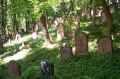 Hemsbach Friedhof 371.jpg (138726 Byte)