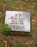 Waldhilbersheim Friedhof 275.jpg (122980 Byte)